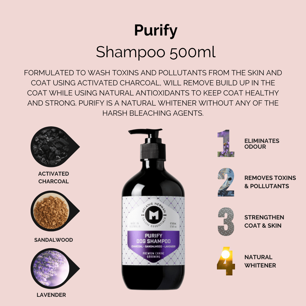 Melanie Newman Salon Essentials | Purify Dog Shampoo – Melanie Melanie Newman Salon Essentials | Purify Dog Shampoo – Melanie