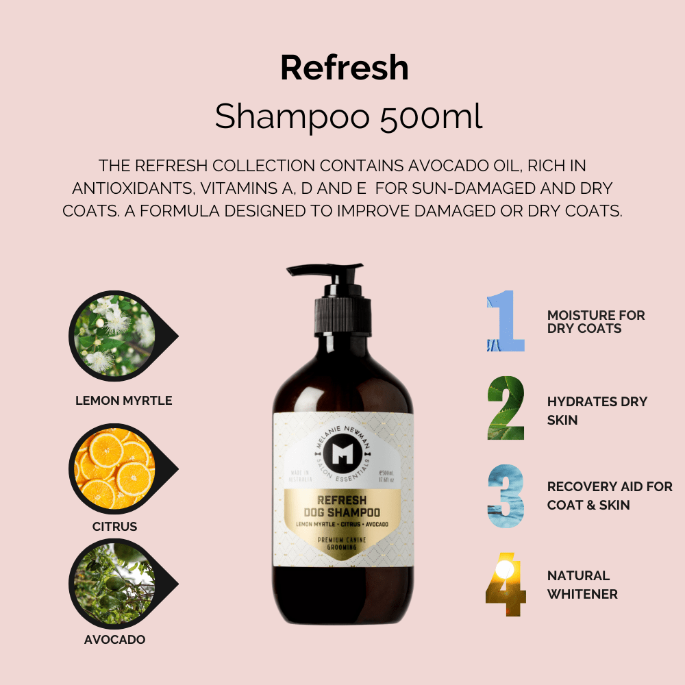 Melanie Newman Salon Essentials | Refresh Dog Shampoo – Melanie Melanie Newman Salon Essentials | Refresh Dog Shampoo – Melanie
