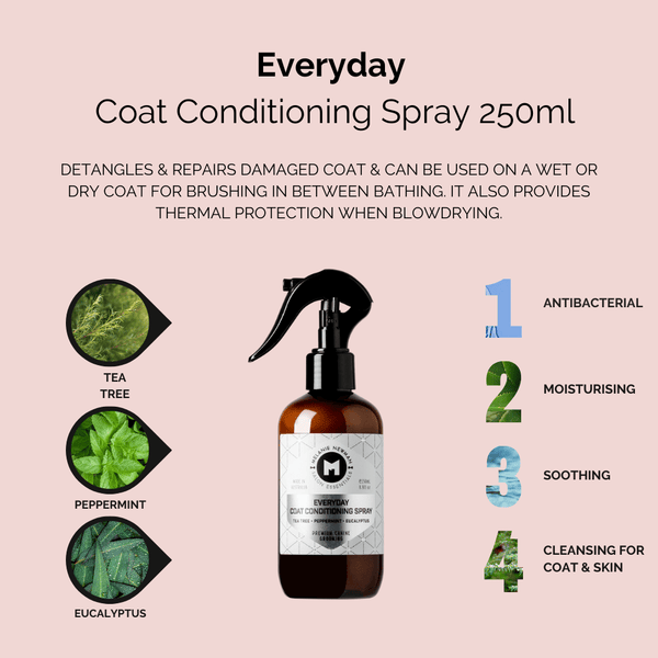 Melanie Newman Salon Essentials | Everyday Coat Conditioning Spray