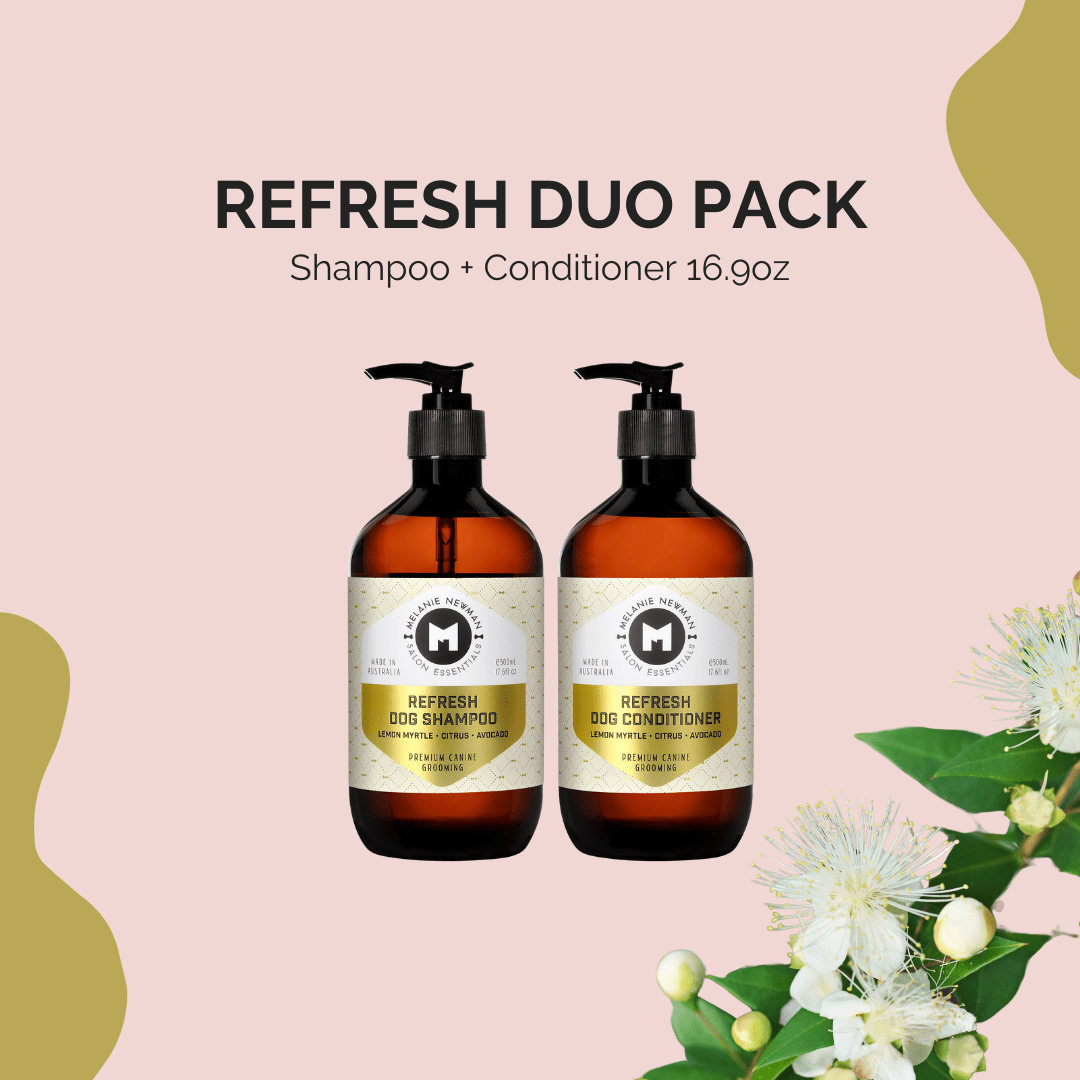 Melanie newman salon essentials 2025